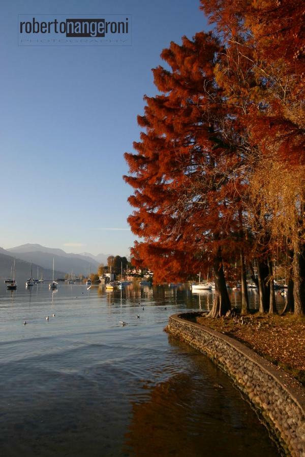Cristal Lake Affittacamere Ispra Bagian luar foto